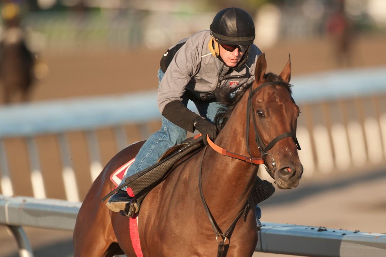 Haddassah, a Kevin Attard trainee, working prior to the Breeders' Stakes at Woodbine in 2021. (Michael Burns Photo) 