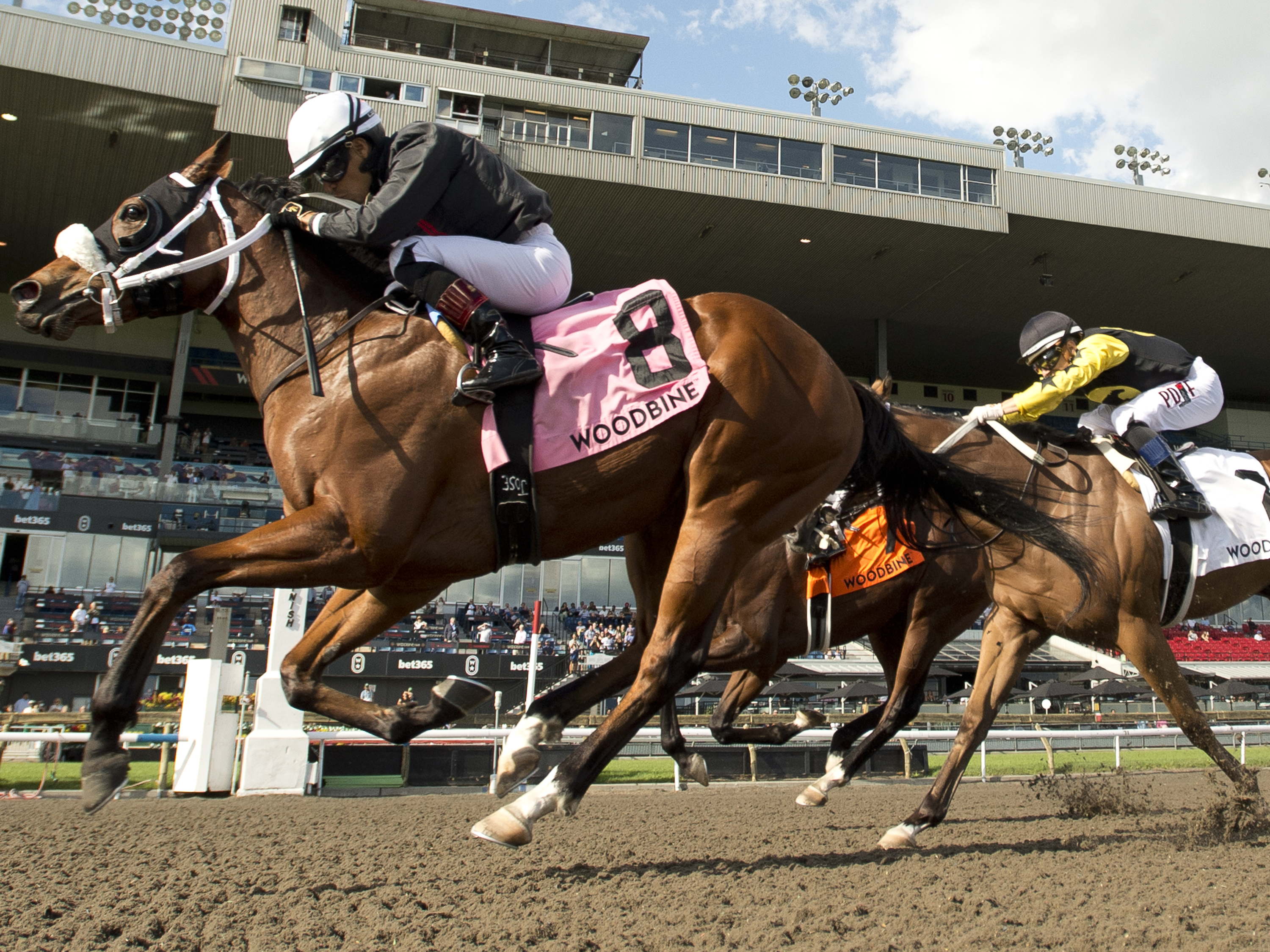 Speedy Freeze, Souper Diva, Big Bold and First, Friendly Ghost take Yearling Sales Stakes