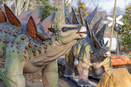 Stegosaurus
