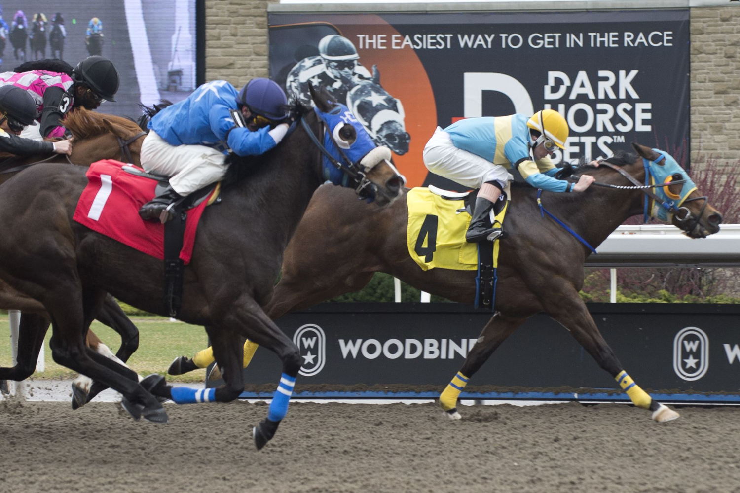 Silver Tunes and jockey Amanda Vandermeersch winning race 1 on April 22, 2023 (Michael Burns Photo)