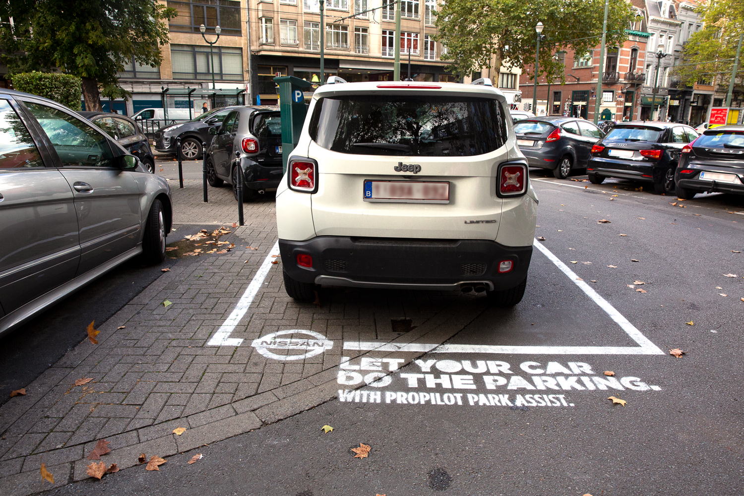 Let your car do the parking (Visual 1)