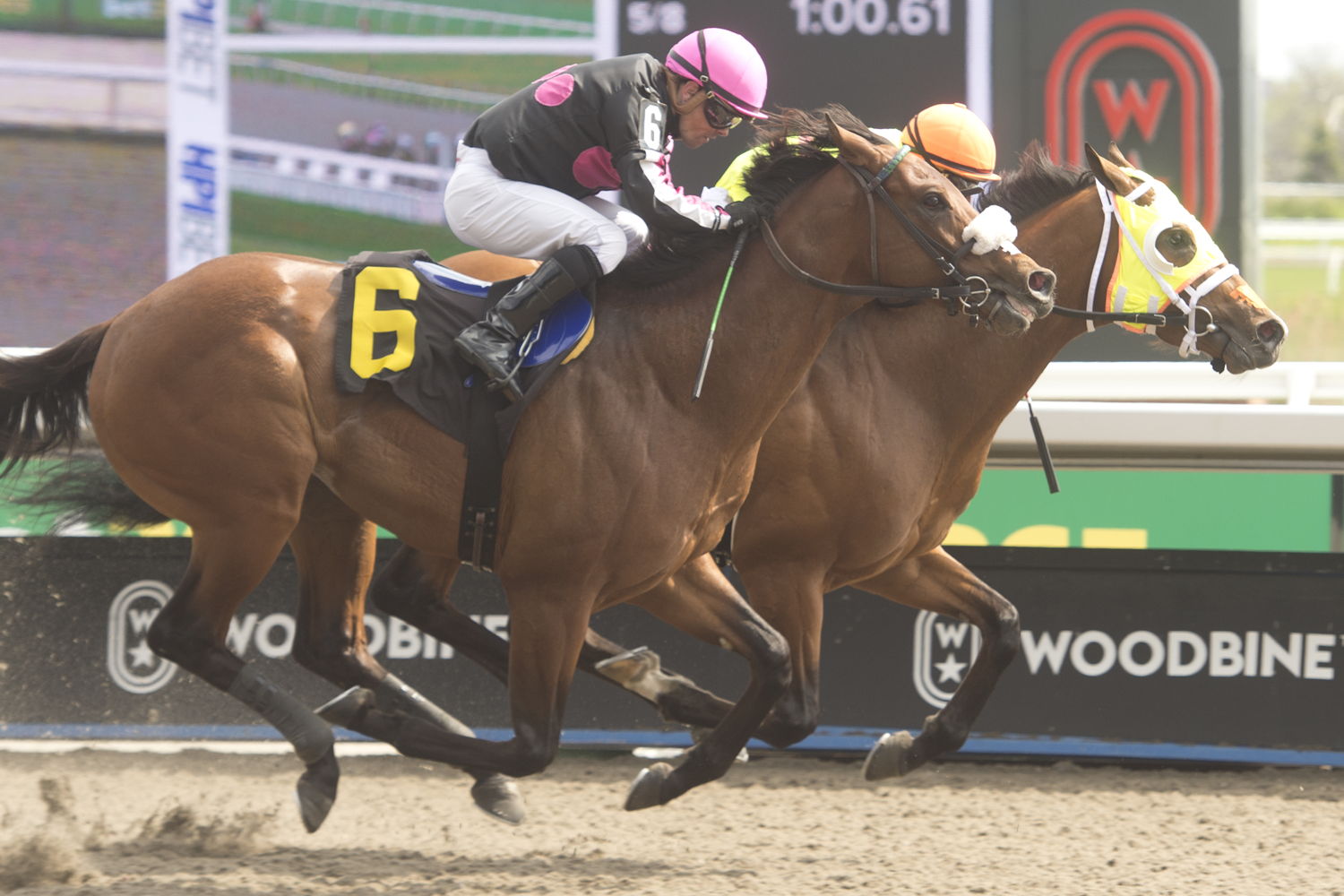 Pierre and jockey Rafael Hernandez winning Race 5 on May 4, 2024 at Woodbine (Michael Burns Photo)
