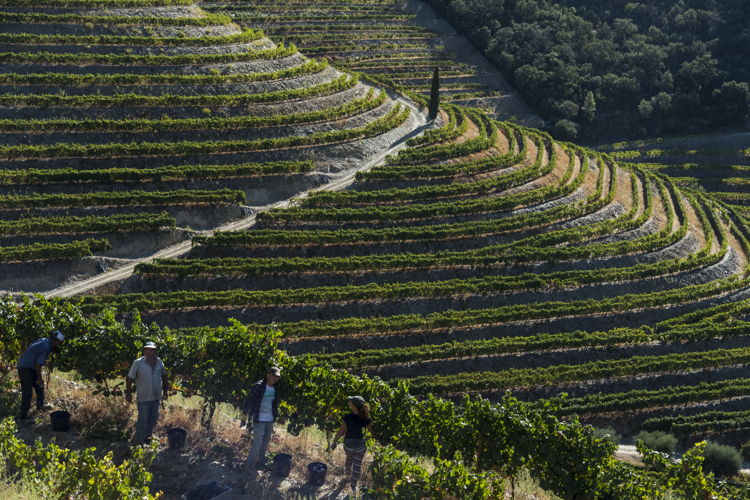 Alto Douro