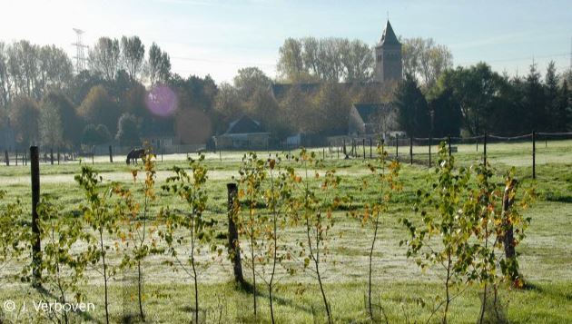 Buffering van de dorpen blijft een belangrijke doelstelling in elk koppelingsgebied. Bijna 200.000 nieuwe bomen en struiken zullen de leefbaarheid van Rieme en Doornzele verhogen
