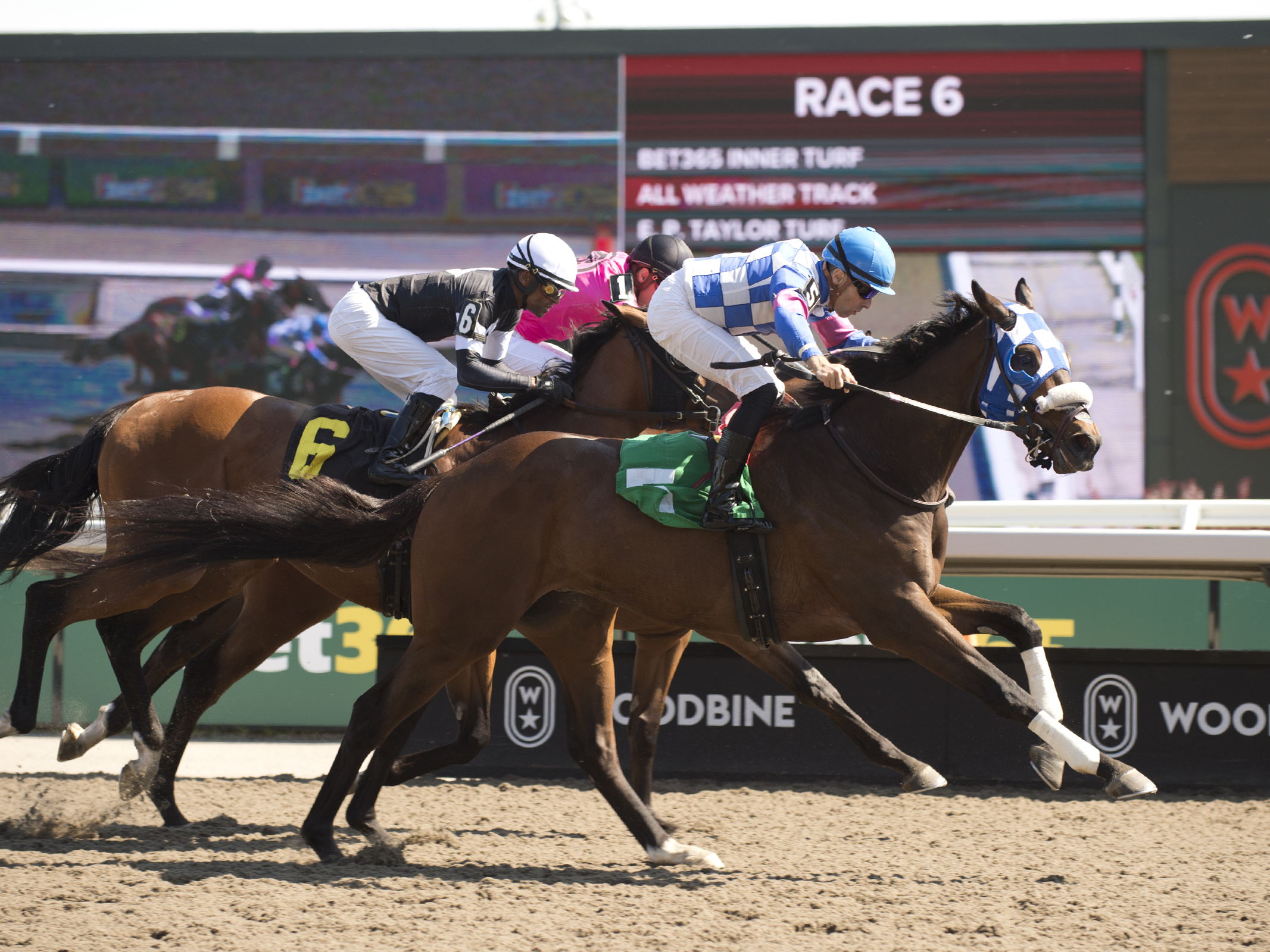 Watsonville Red wades into Grade 3 Marine in winning form