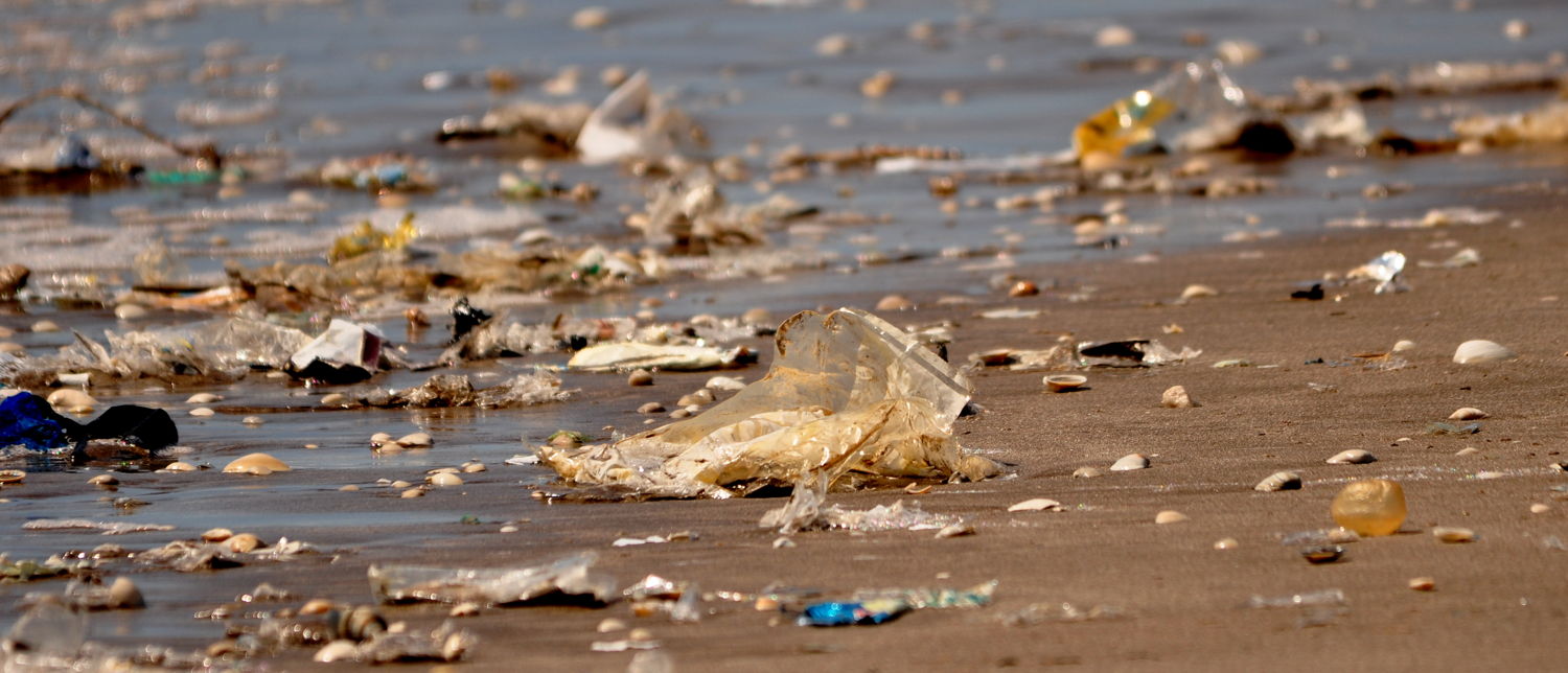 Más del 80% de la basura encontrada en nuestras costas es plástica