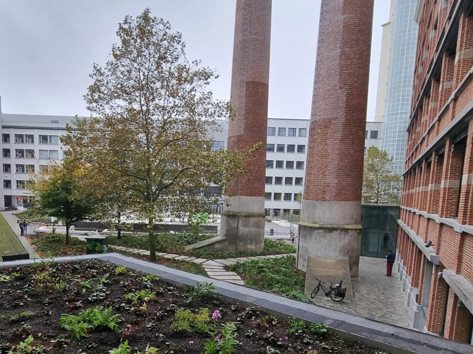 Vergroeningswerken Den Bell afgerond
