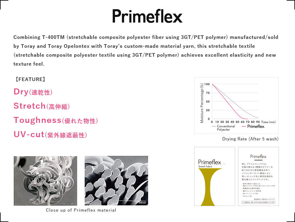 Schematic of the original PRIMEFLEX
