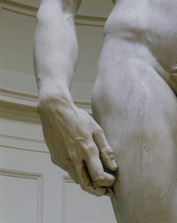 "David" (detail). AKG244429 © akg-images / Rabatti & Domingie