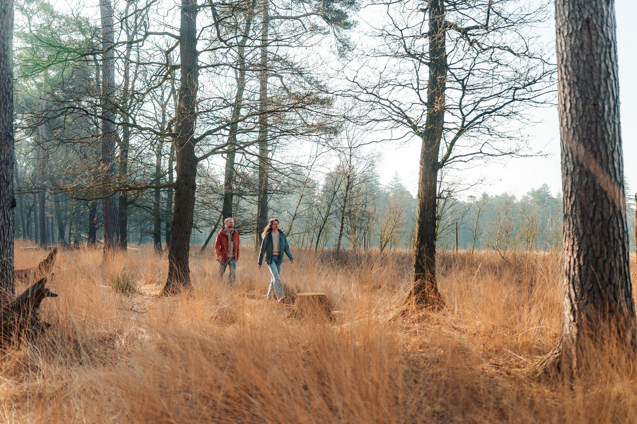 Wandelen - Wandern - Walking