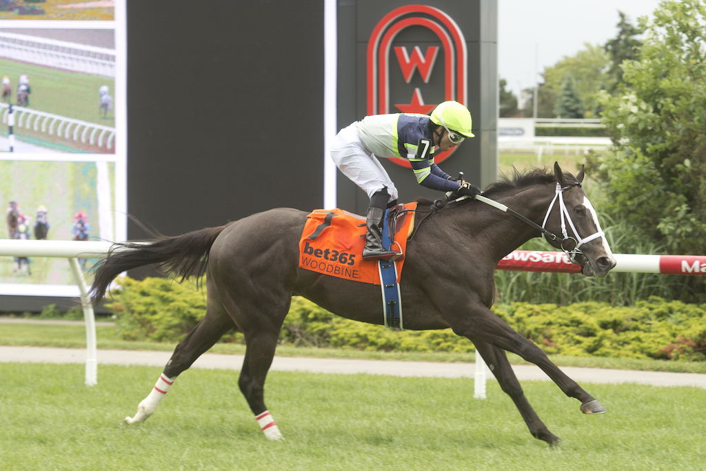 Live Lucky winning on June 9 at Woodbine. (Michael Burns Photo)