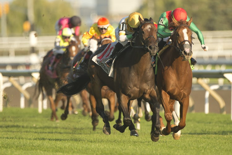 Touch'n Ride and jockey Kazushi Kimura winning the Breeders' Stakes on October 1, 2023 at Woodbine (Michael Burns Photo)