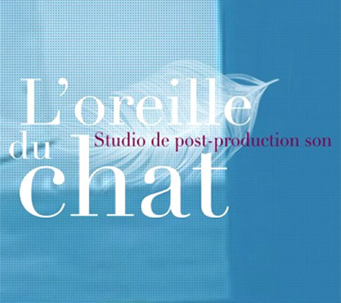 STUDIO L’OREILLE DU CHAT