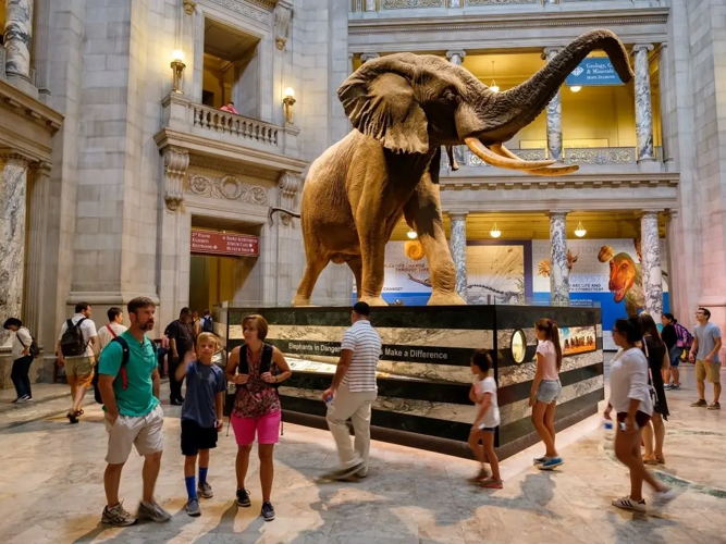 Smithsonian Museums, Washington D.C
