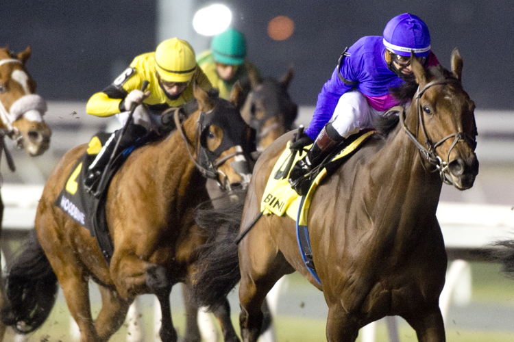 Ron's Gizmo and jockey Rafael Hernandez winning the Steady Growth Stakes on December 15, 2024 at Woodbine (Michael Burns Photo)