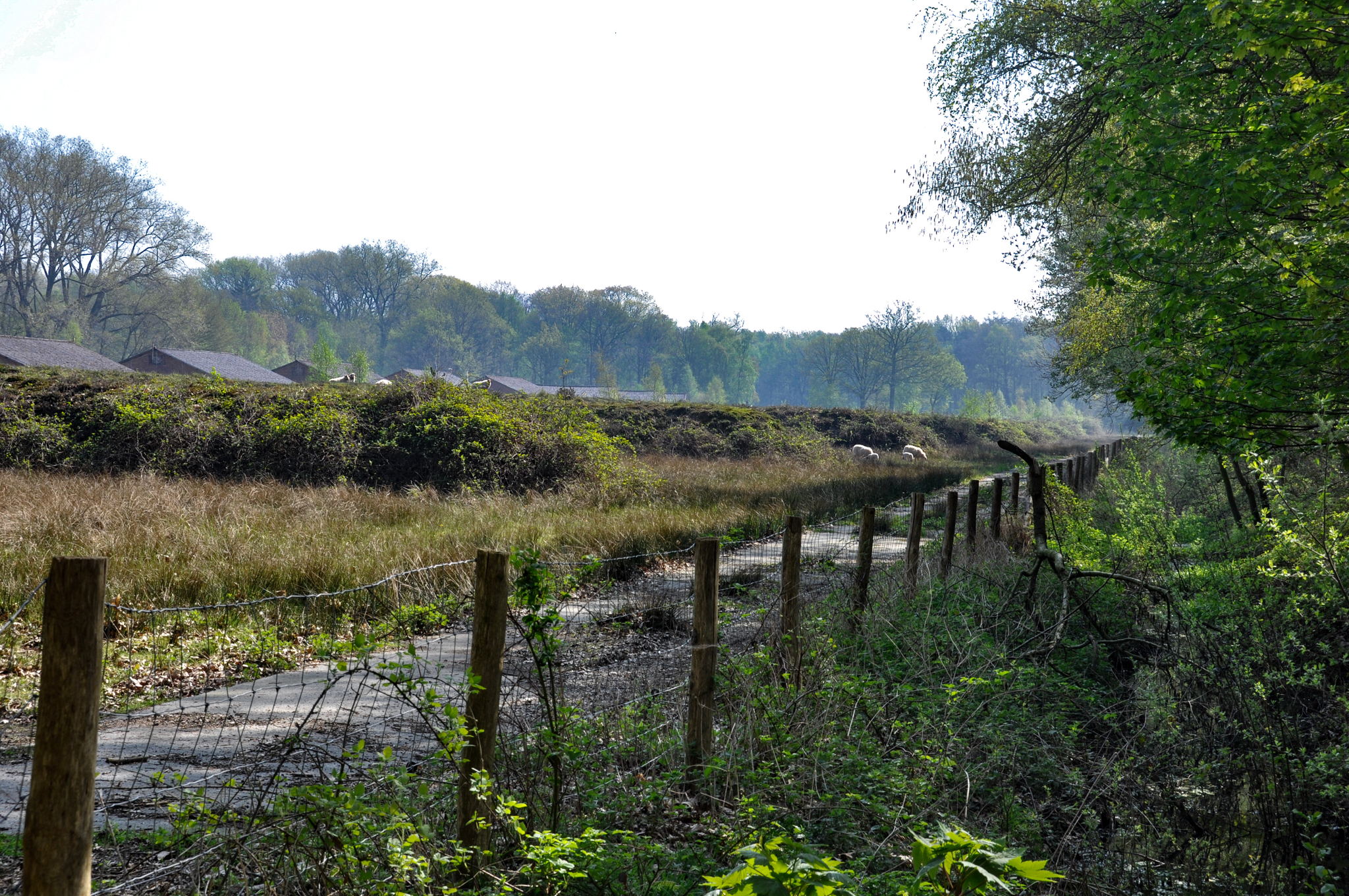 Vloethemveld in de lente