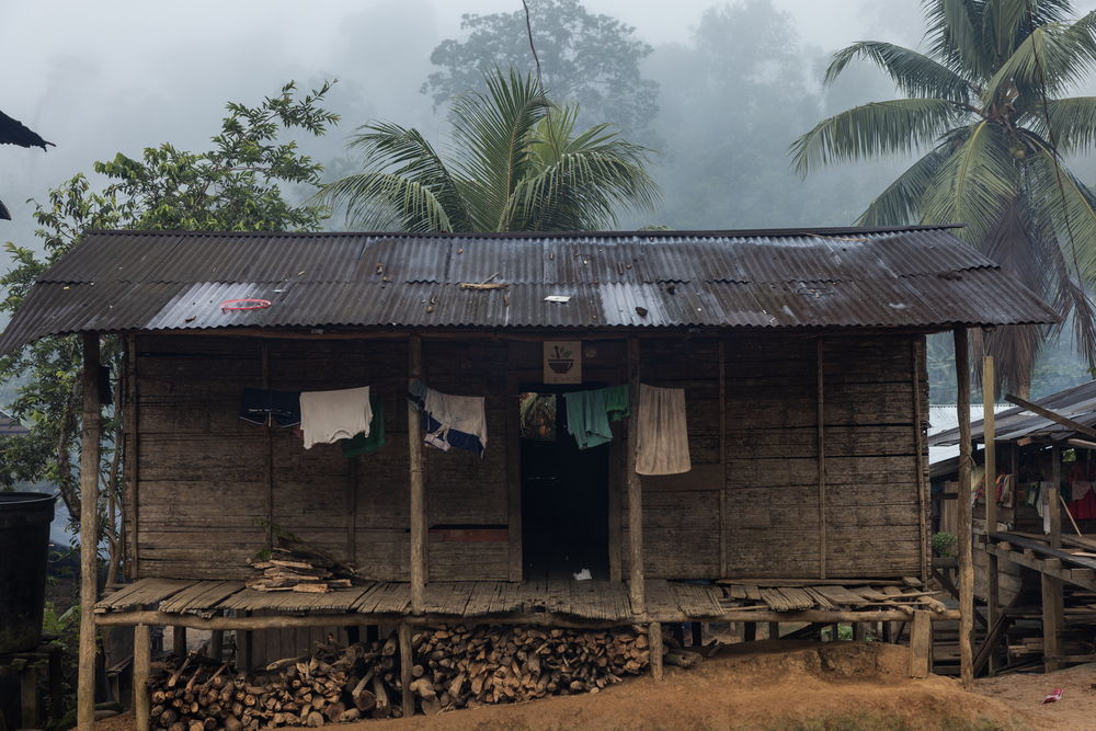 House of the Jaibaná (healer of the Embera spirit) in the community of Puesto Indio. He is one of the main references for traditional health when the community has no other way to access formal health posts. His wife, Leticia, is one of the healers and midwives who takes care of life in the territory. Indigenous community of Puesto Indio, Alto Baudó, Chocó.