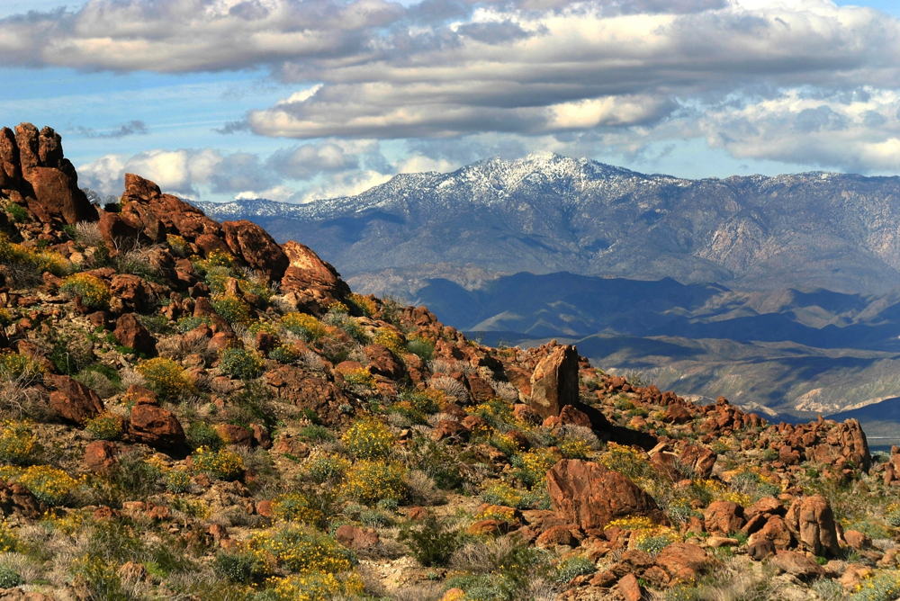 Rocky Mountaineer, Denver, CO