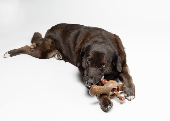Benebone Pawplexer