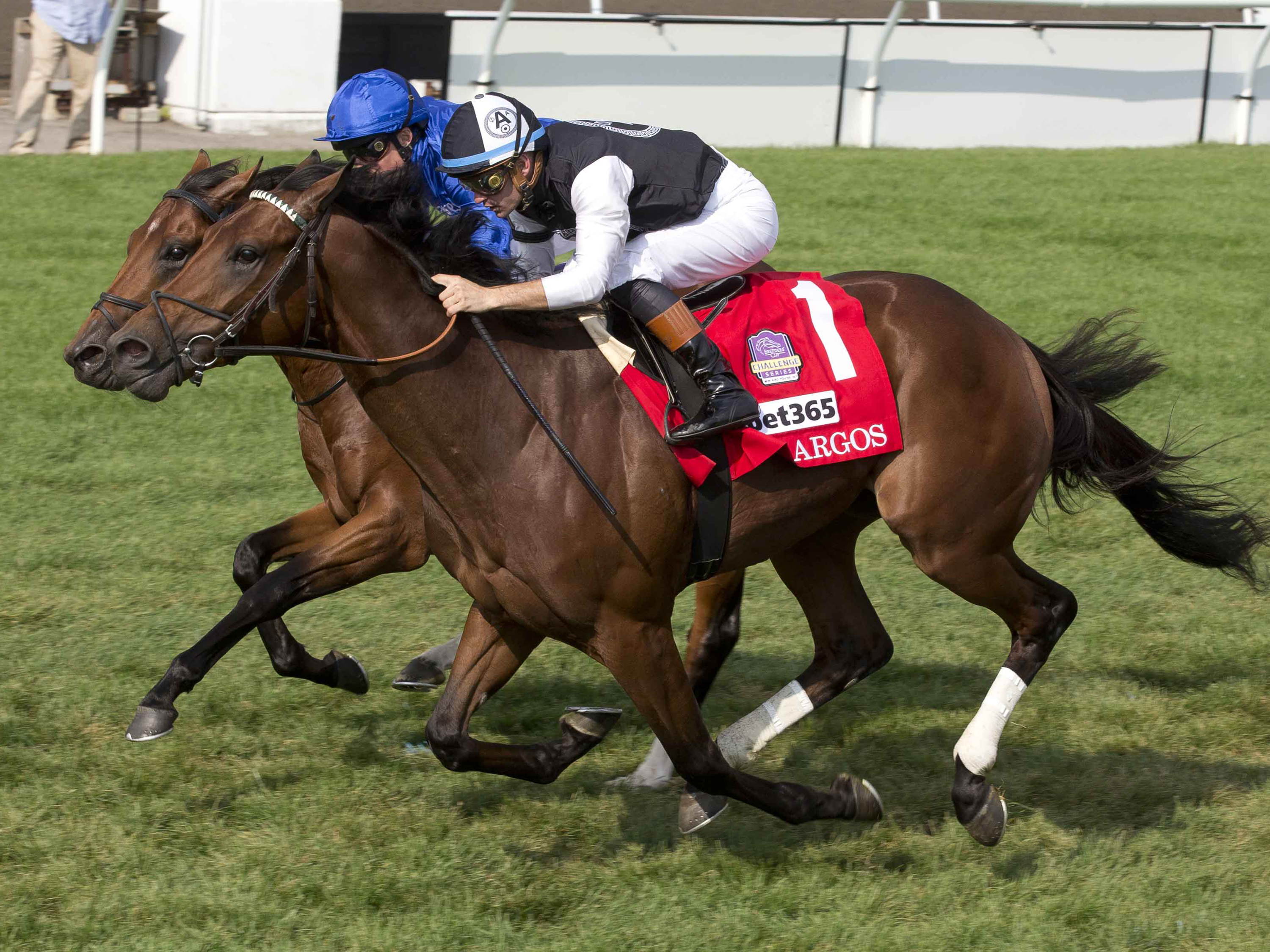 Argos converts ideal trip into Grade 1 Summer Stakes triumph