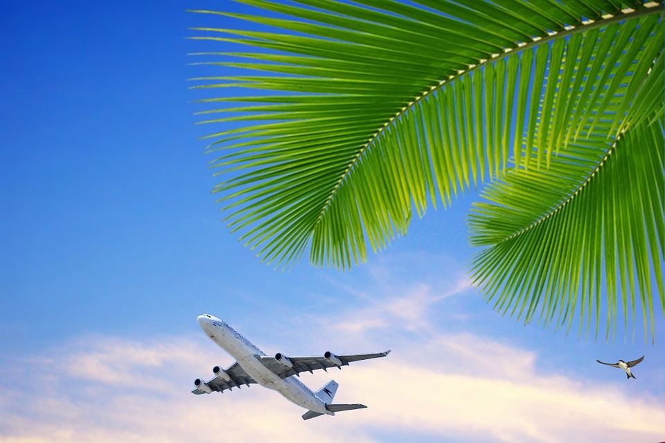 Generic Air Travel Image