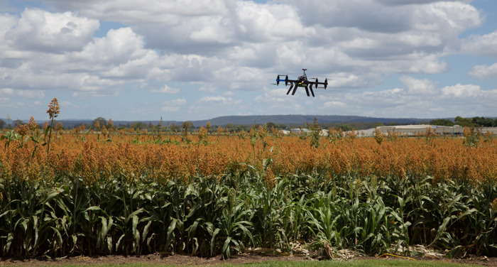 Preview: Bangladesh to introduce drone technology to assess crop losses: ADB