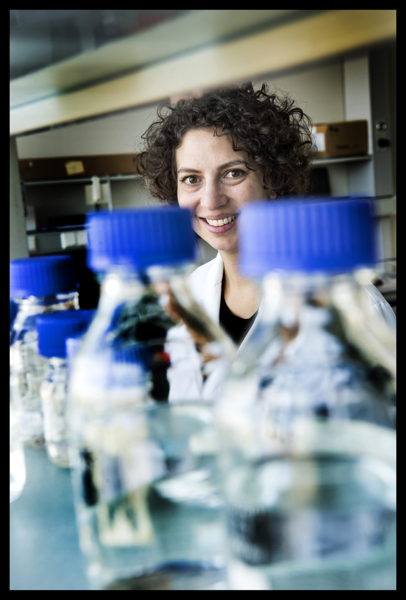 Therapeutic potential of a novel mixture of mRNA in nanoparticles ...