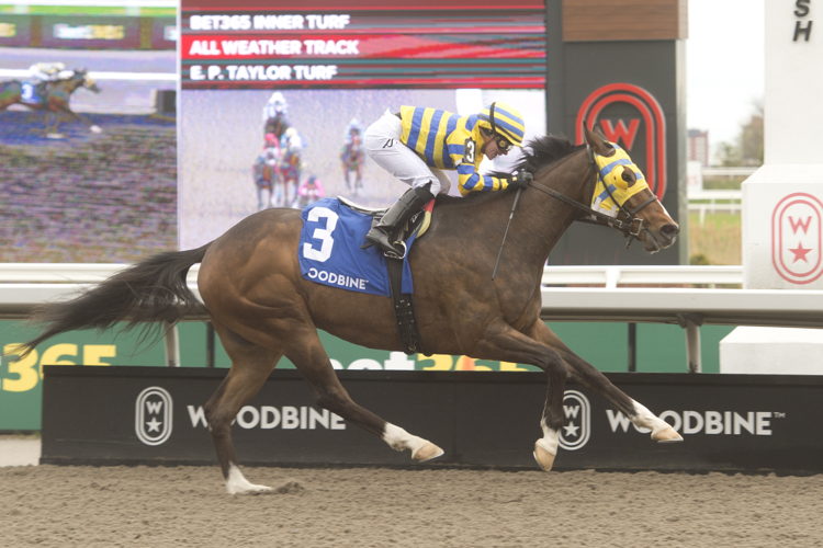 Patches O'Houlihan and jockey Sofia Vives winning the Thorncliffe Stakes on May 4, 2025 at Woodbine (Michael Burns Photo)