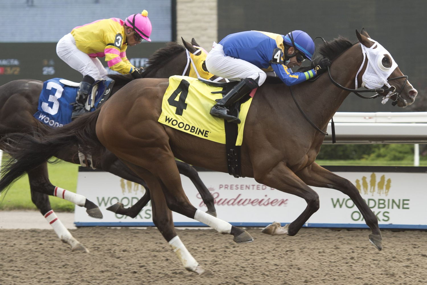 Avoman and jockey Antonio Gallardo winning the Plate Trial Stakes on August 1, 2021 (Michael Burns Photo)