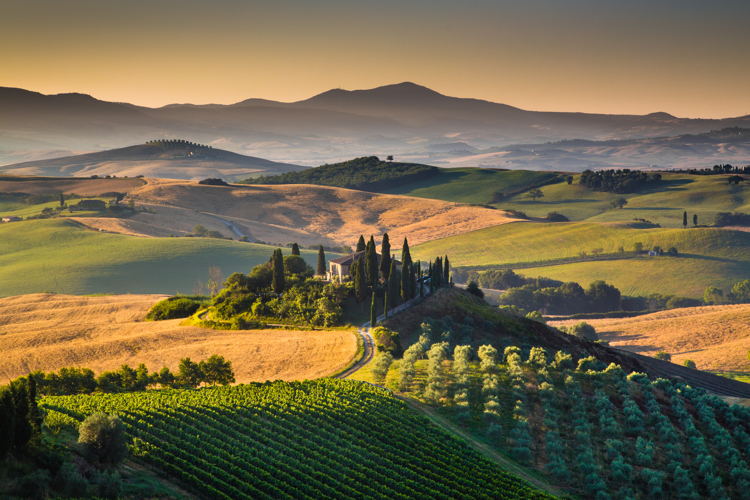 Under the Tuscan sun