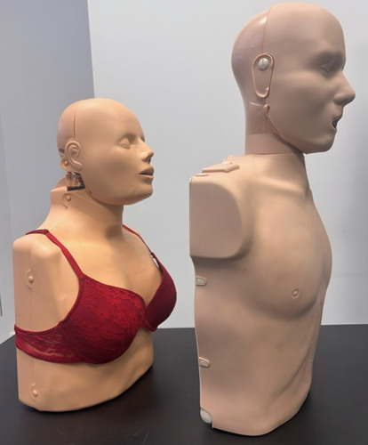 Rode Kruis-Vlaanderen - Brussel Hoofdstad introduceert eerste opleidingspop met vrouwelijke anatomie voor Eerste Hulp opleidingen