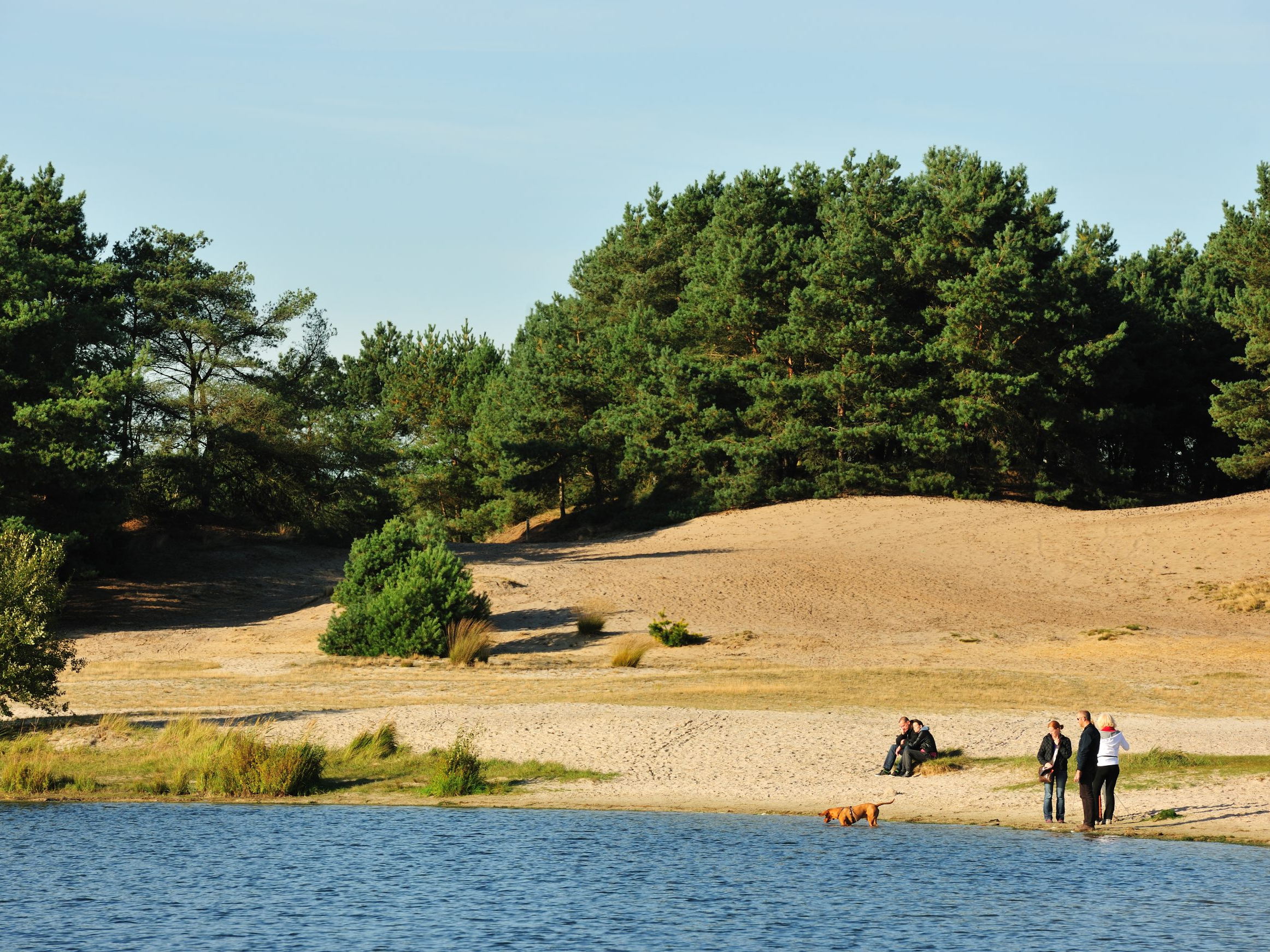 The Lommel Sahara: a landscape of sand, forest and industrial history
