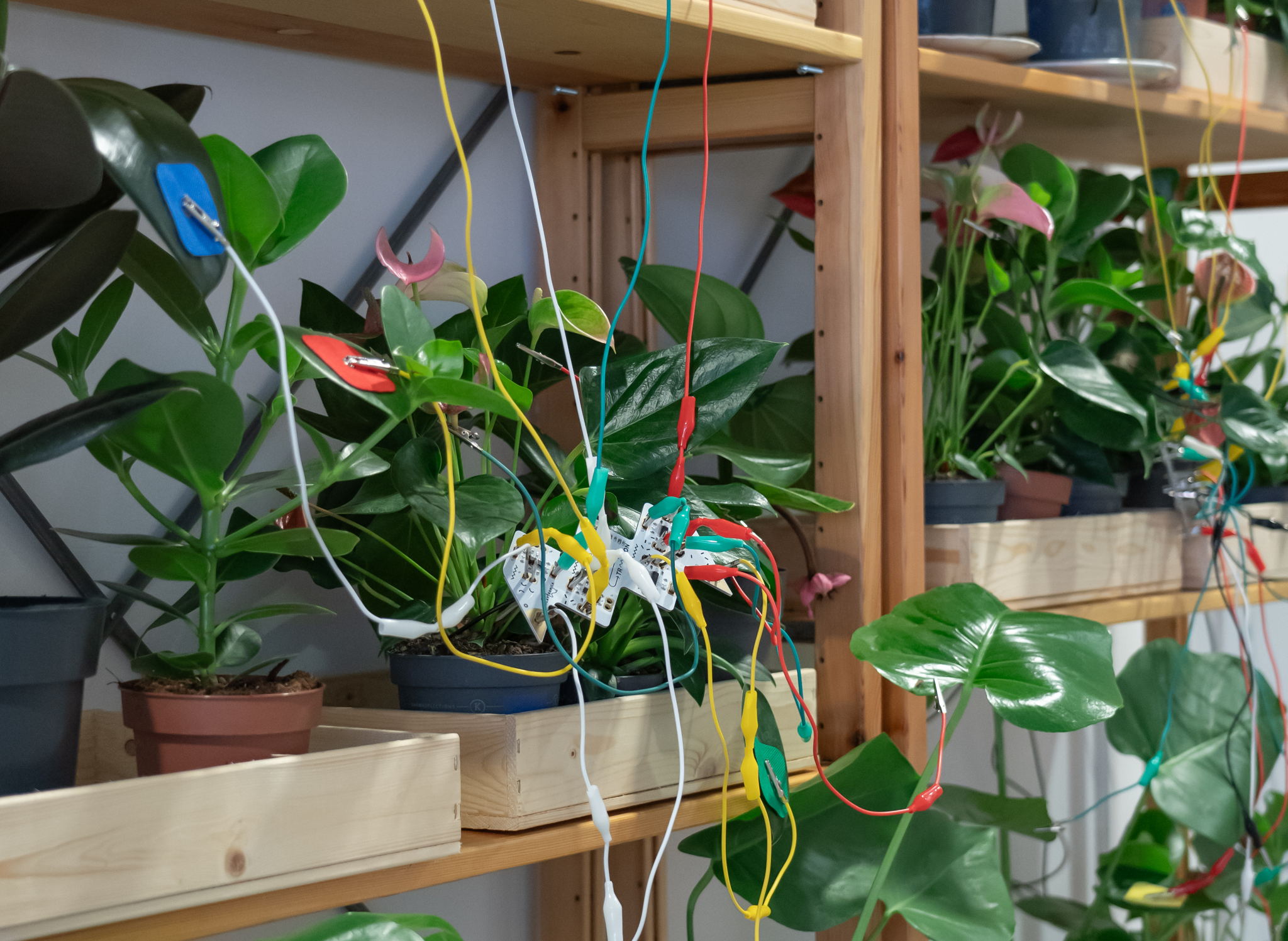Audio Pro takes part in interactive exhibition capturing the sound of plants