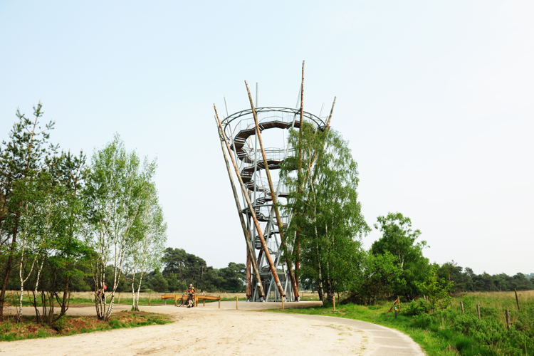 Flaestoren - Esbeek
