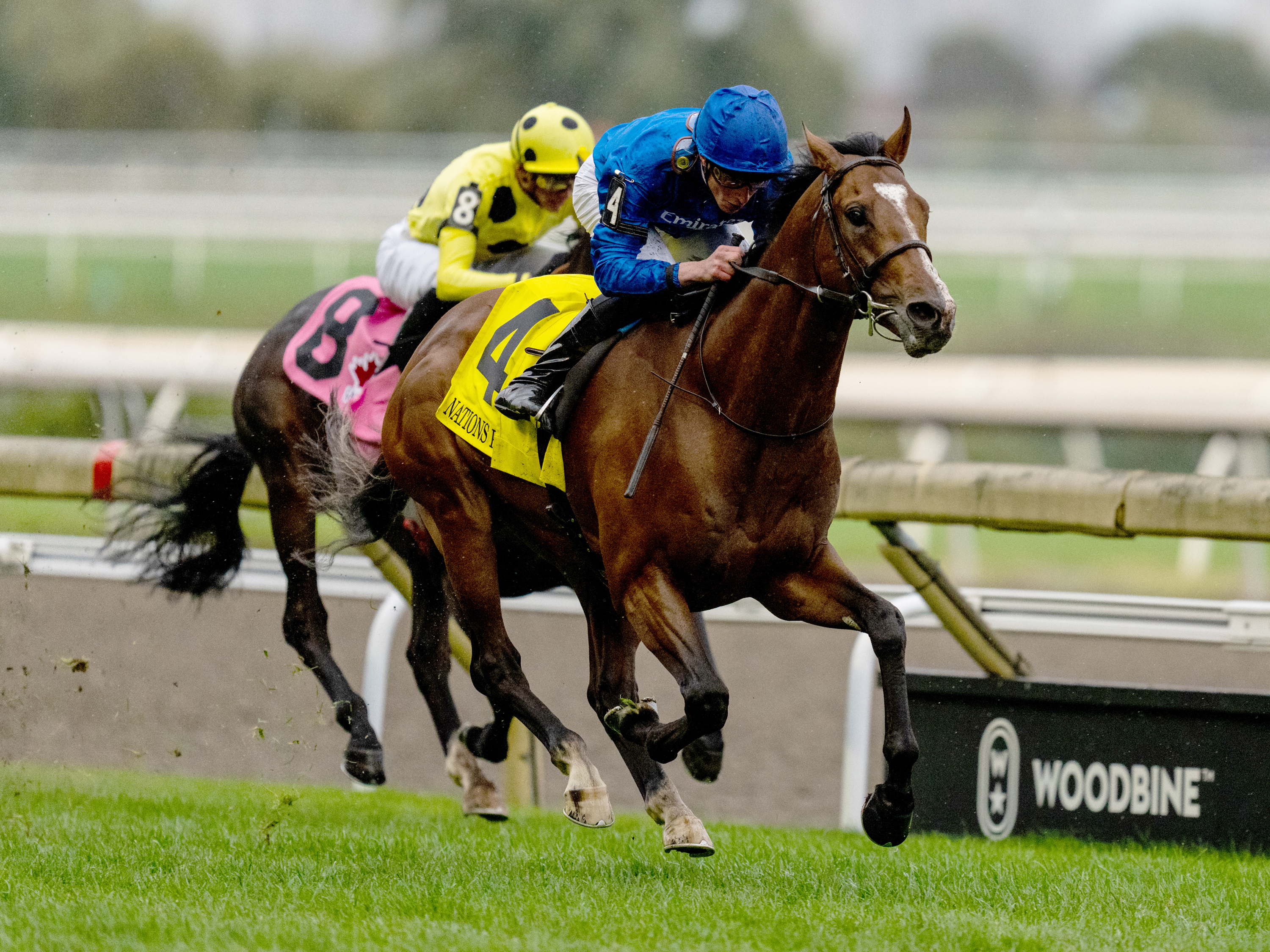 Woodbine to live stream post-position draw for Canadian International (G1) 
