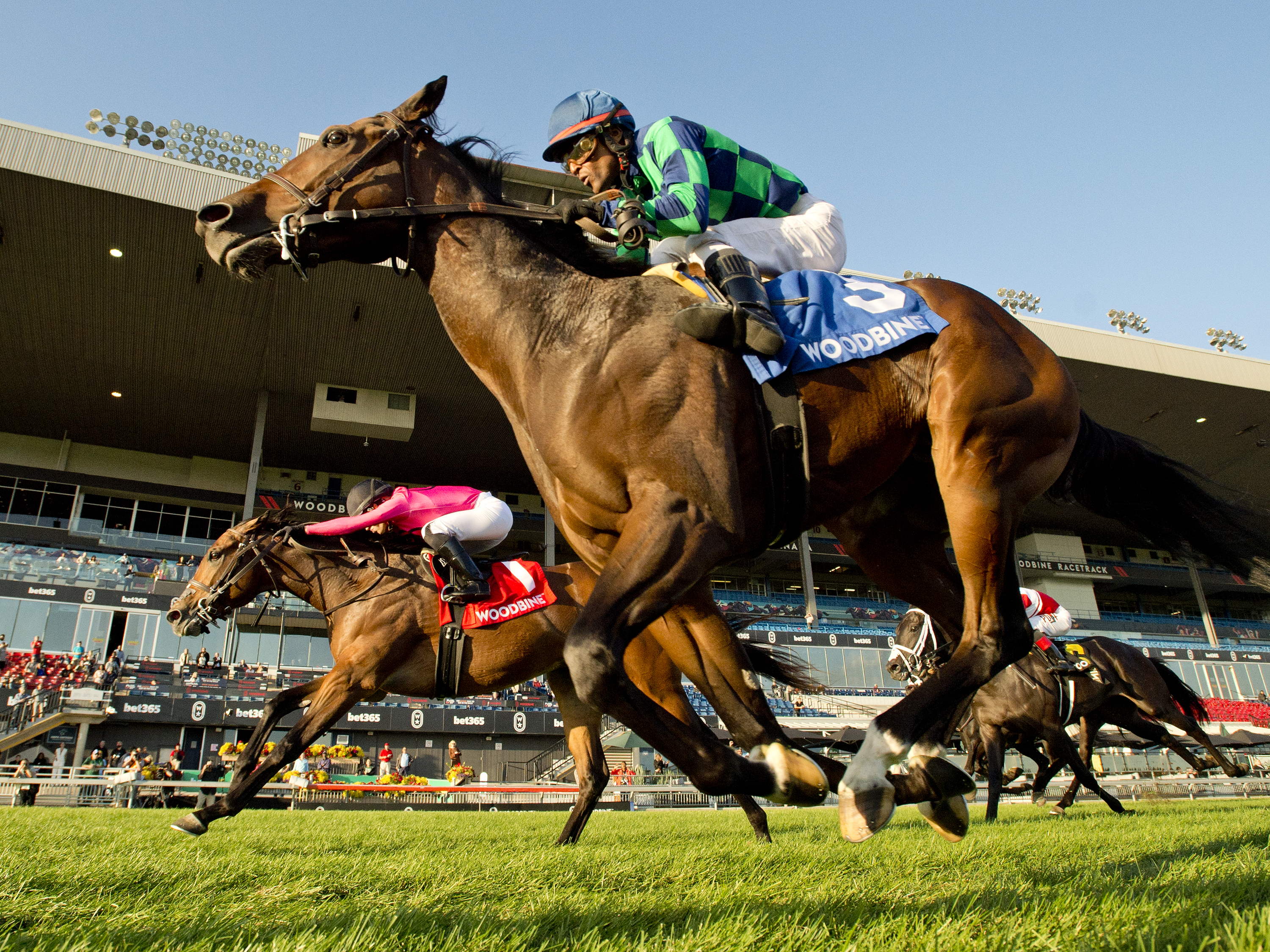 Plate Trial: Field of 10 primed for pivotal King’s Plate prep 