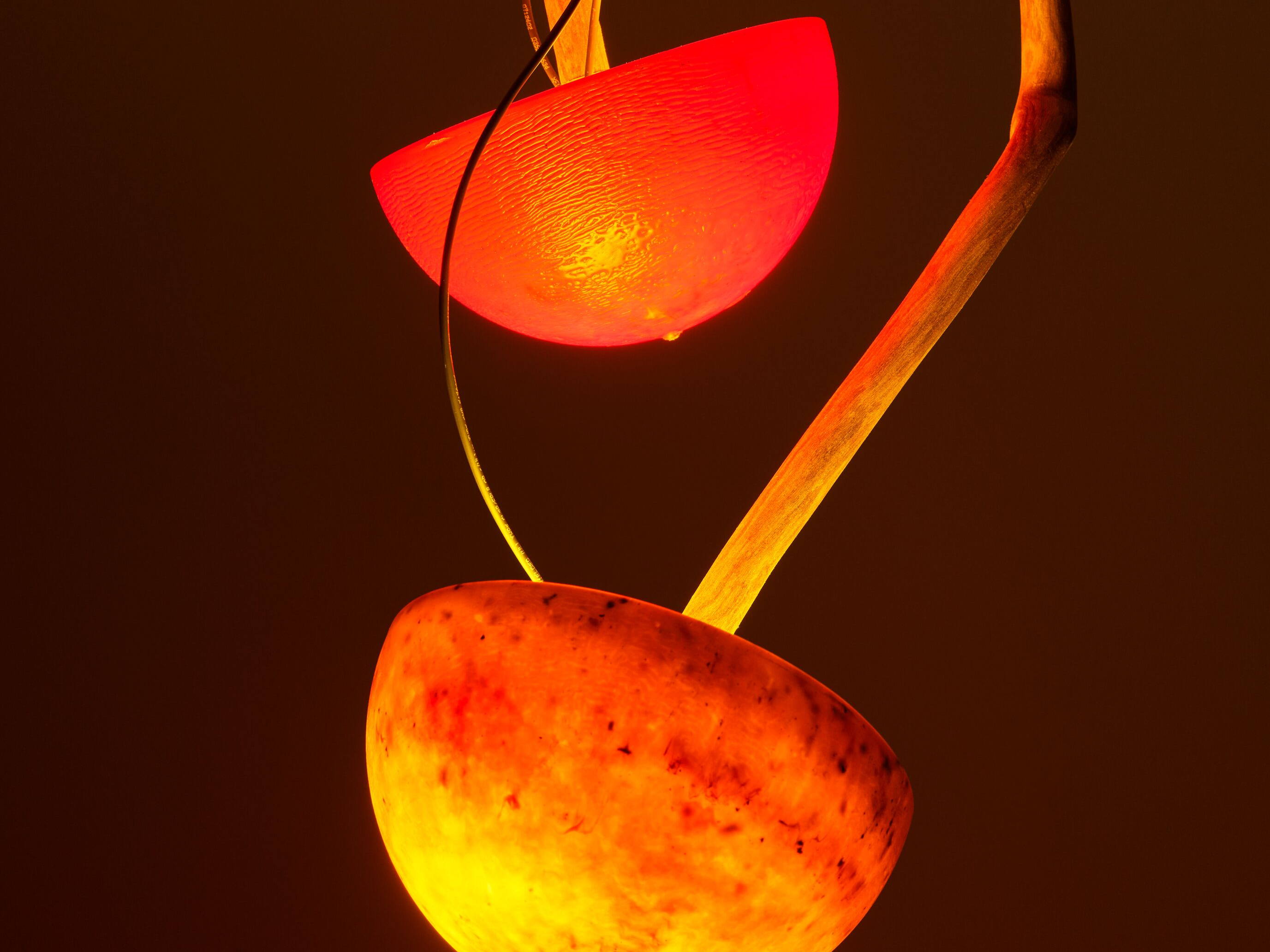 Forthcoming Exhibitions in Europe