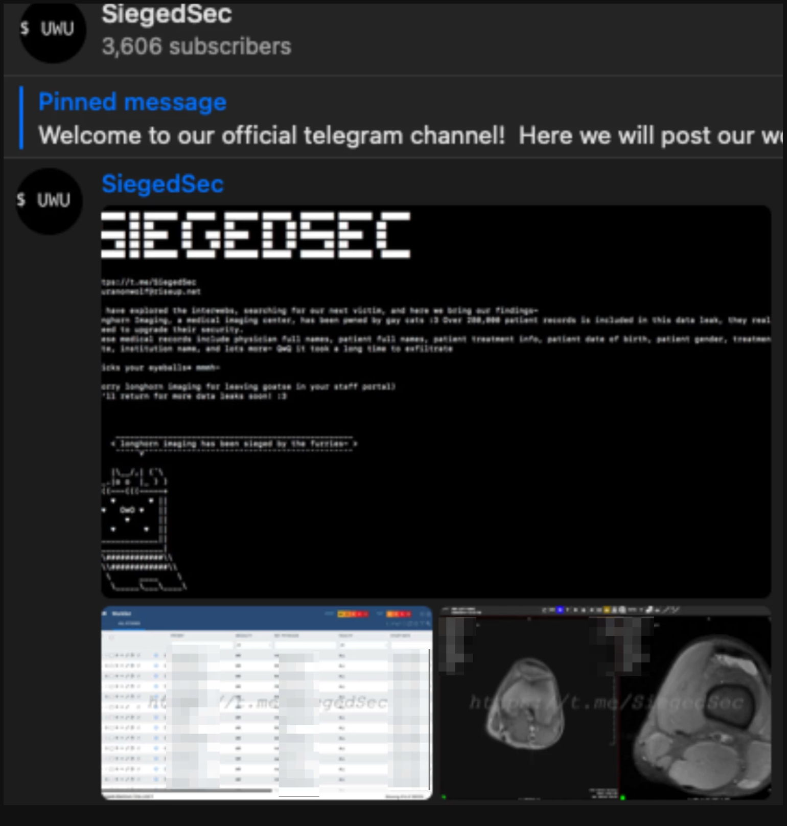 漏洩した患者情報を示すハッキンググループのTelegramチャンネル