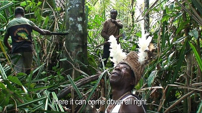Black Box: Roy Villevoye - Voice-over
