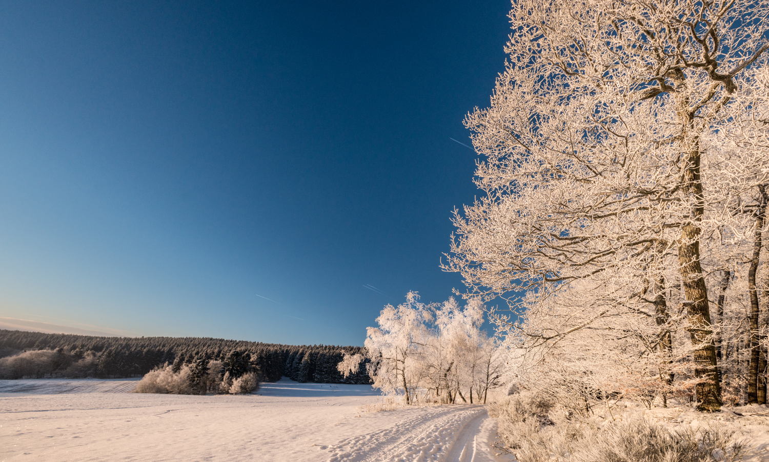 Spessart, Eifel (c) Dominik Ketz