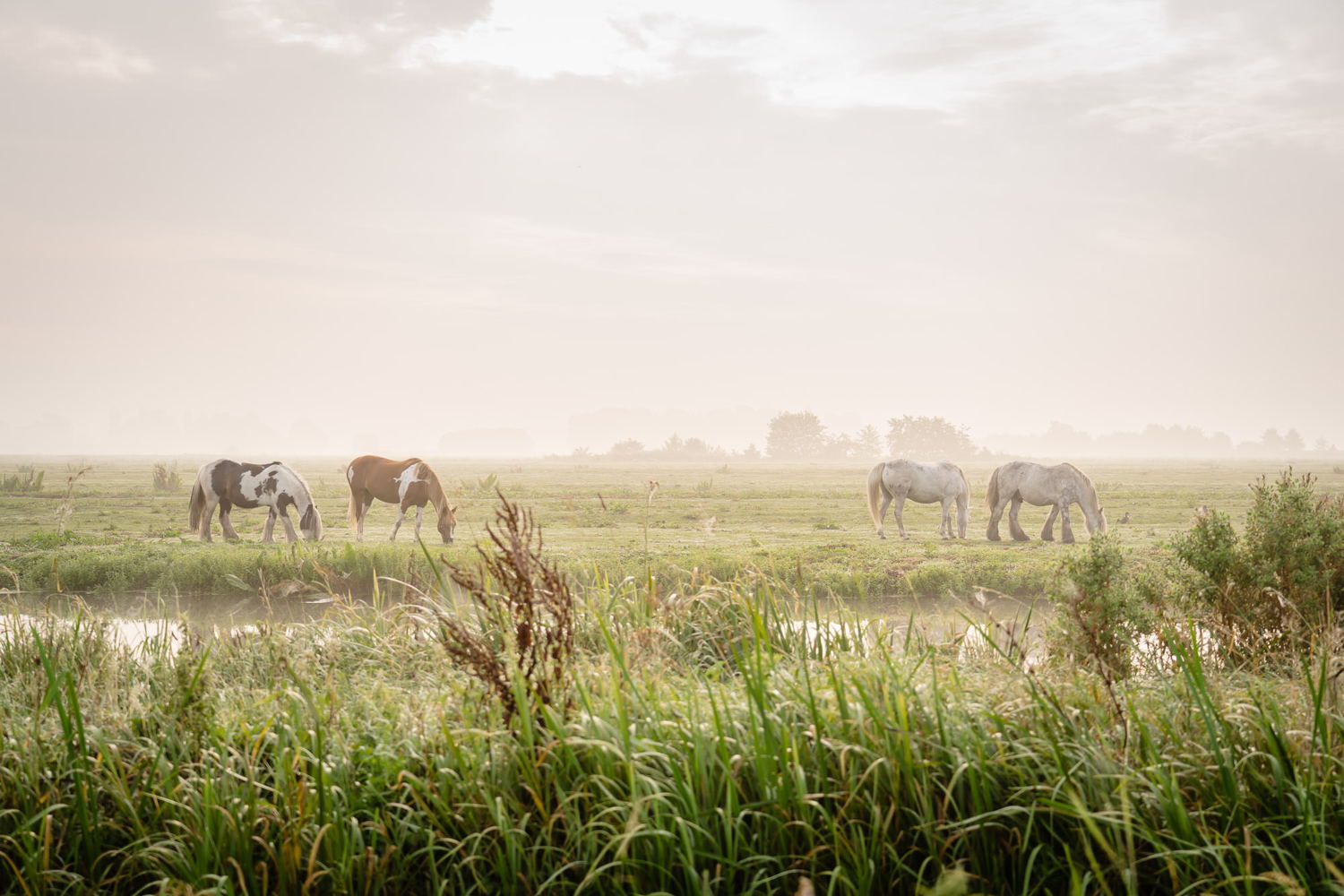 © Mooi Belicht Fotografie
