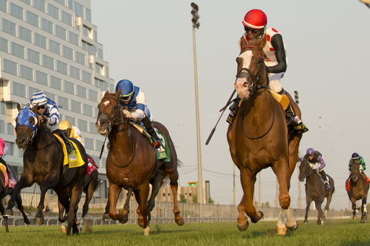 Win for the Money and jockey Patrick Husbands winning the Rogers Woodbine Mile (G1) on September 14, 2024 at Woodbine (Michael Burns Photo) 