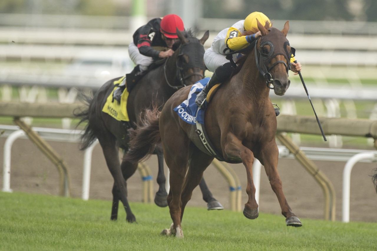 Ready for the Lady and jockey Emma-Jayne Wilson winning the  Singspiel Stakes on Sunday at Woodbine (Michael Burns Photo)