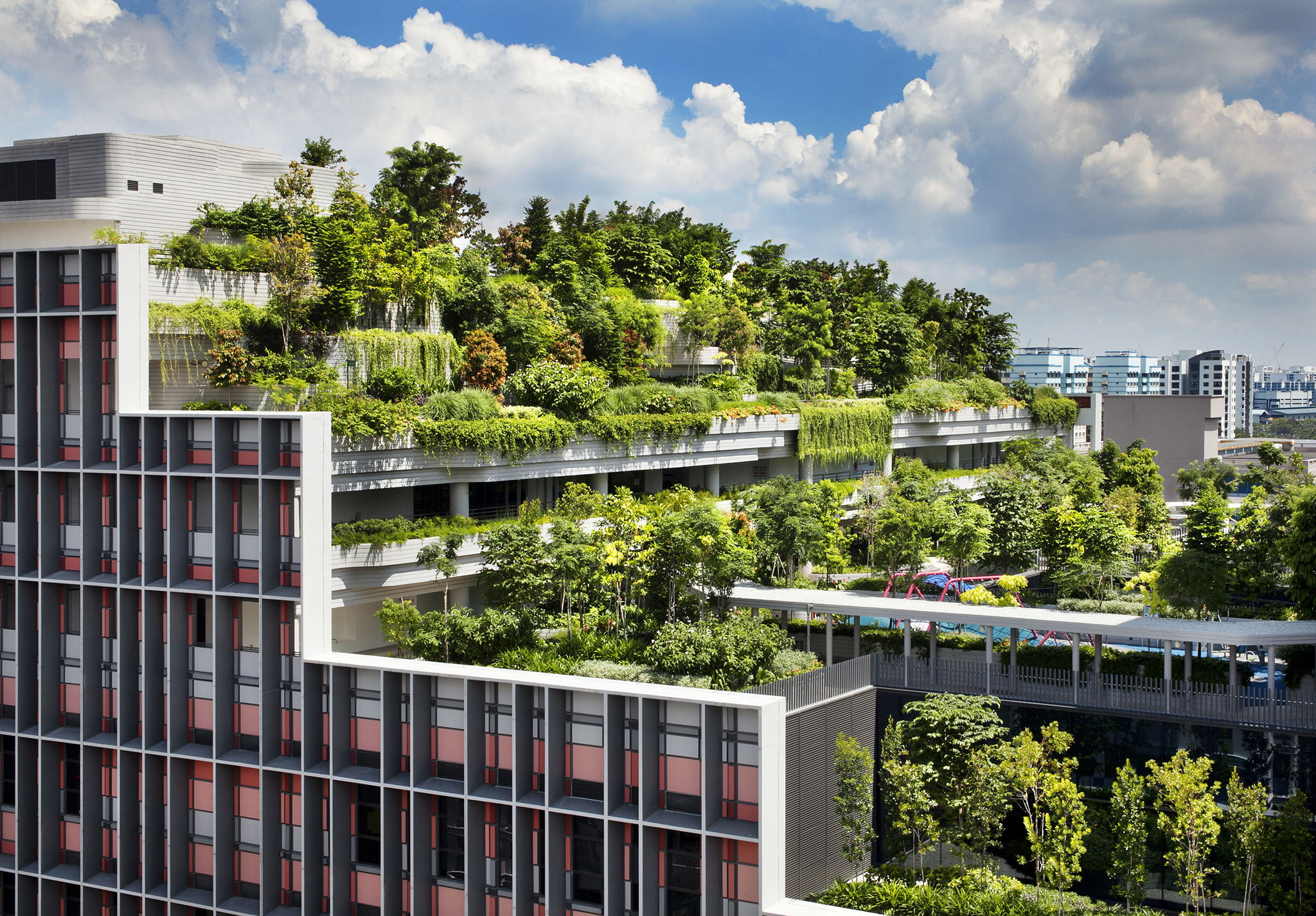 Kampung Admiralty designed by Ramboll Studio Dreiseitl (landscape design) and WOHA (architectural lead). Image: Patrick Bingham-Hall Kampung Admiralty designed by Ramboll Studio Dreiseitl (landscape design) and WOHA (architectural lead). Image: Patrick Bingham-Hall