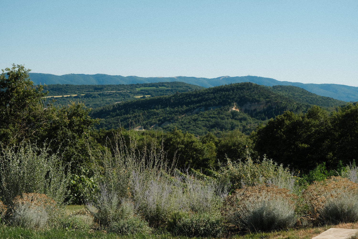Les Hameaux des Davids; photocredit : Micha Pycke 