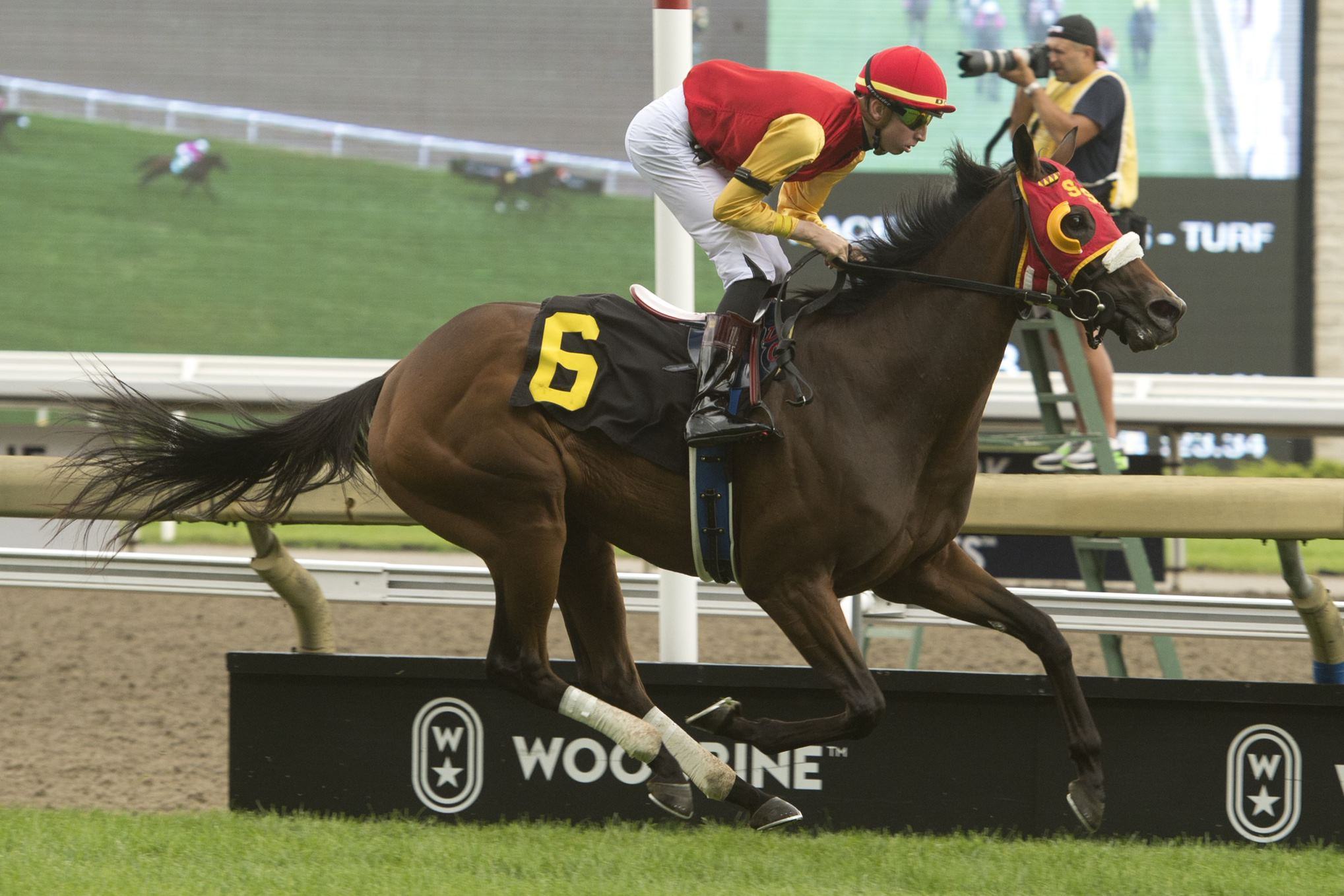 Whimsical Dance and jockey Declan Carroll winning Race 2 on Queen's Plate day 2022 at Woodbine. (Michael Burns Photo) Whimsical Dance and jockey Declan Carroll winning Race 2 on Queen's Plate day 2022 at Woodbine. (Michael Burns Photo)