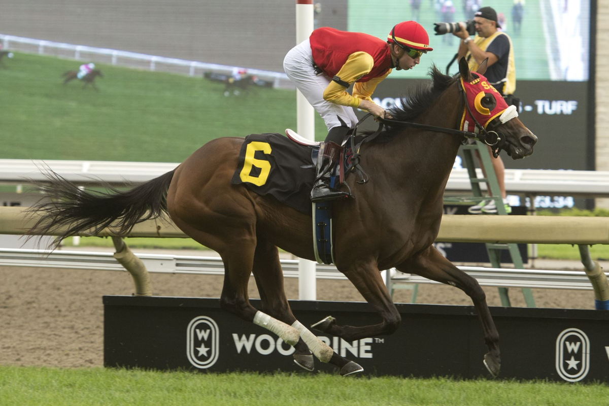 Whimsical Dance and jockey Declan Carroll winning Race 2 on Queen's Plate day 2022 at Woodbine. (Michael Burns Photo)