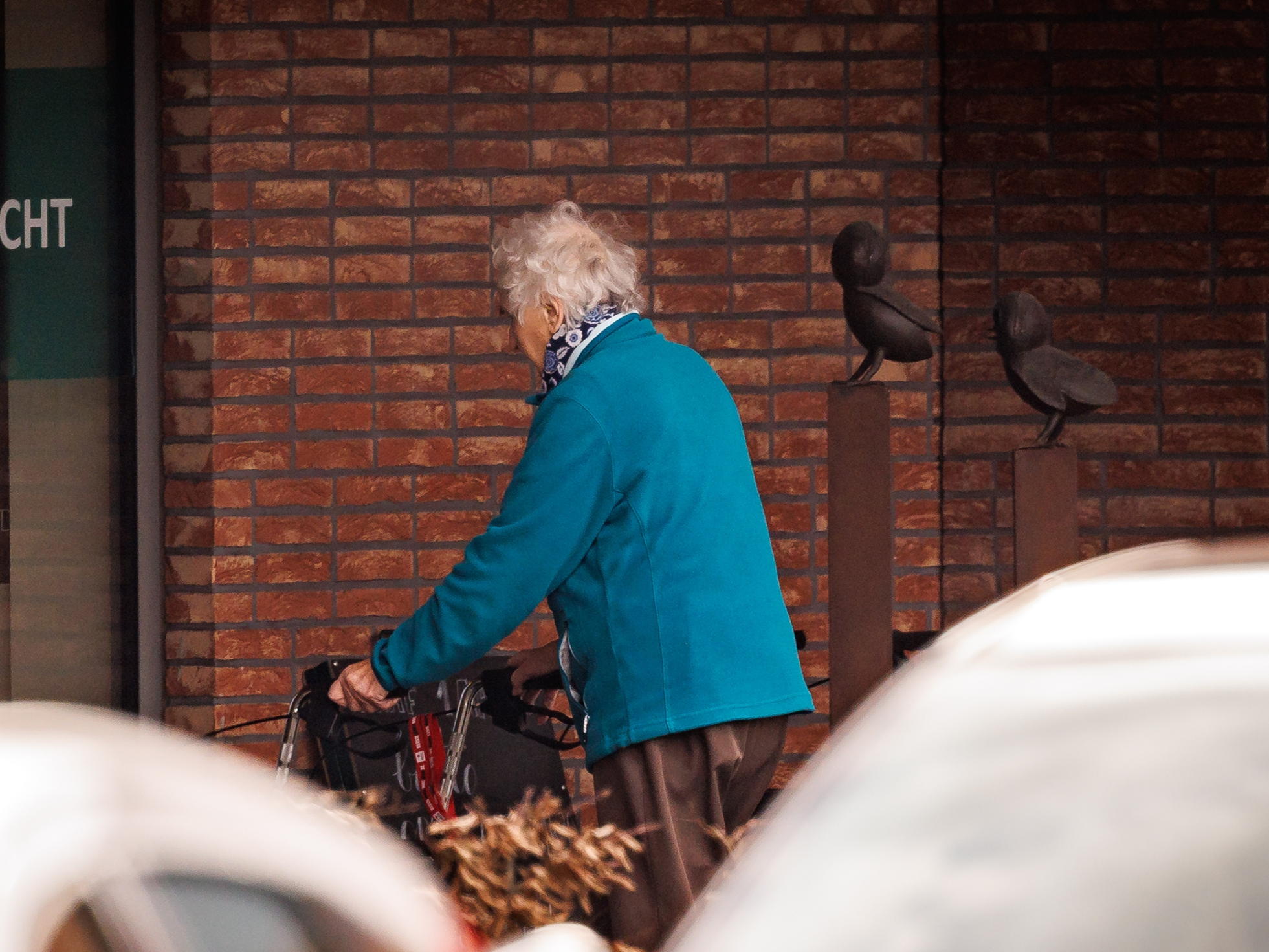 Four deaths possibly linked to E. coli outbreak in Belgian nursing homes