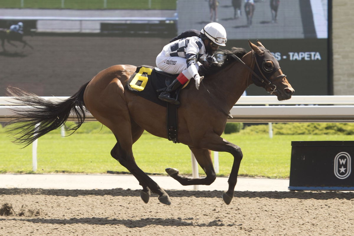 Awesome Bourbon and jockey Juan Crawford winning on the Woodbine Tapeta on August 14 2022 (Michael Burns Photo)  