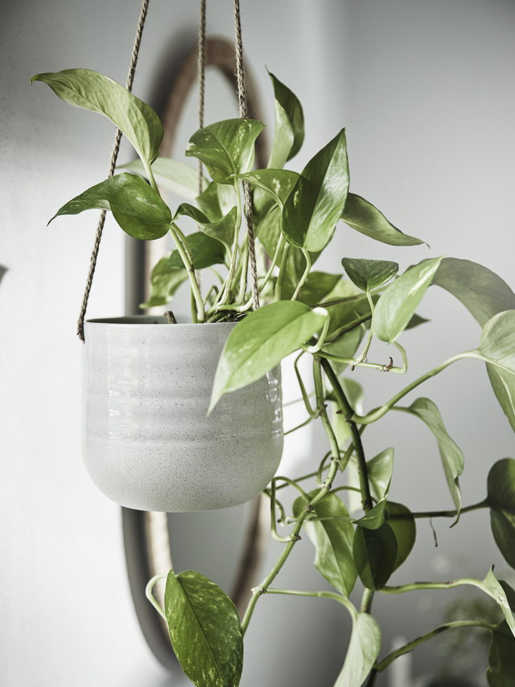 IKEA_KAPKRUSBÄR plant pot_1 €6,99